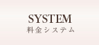system